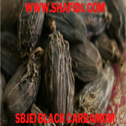 BLACK CARDAMOM